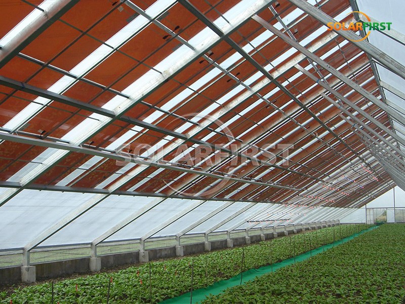 حلول دفيئة تعمل بالطاقة الشمسية بمساحة 425 مترًا مربعًا في المملكة المتحدة