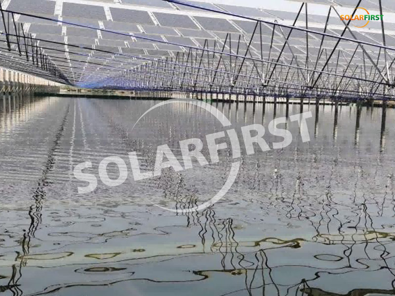 مشروع تكميلي للصيد بالطاقة الشمسية 20 ميجا واط في تشانغده , هونان
